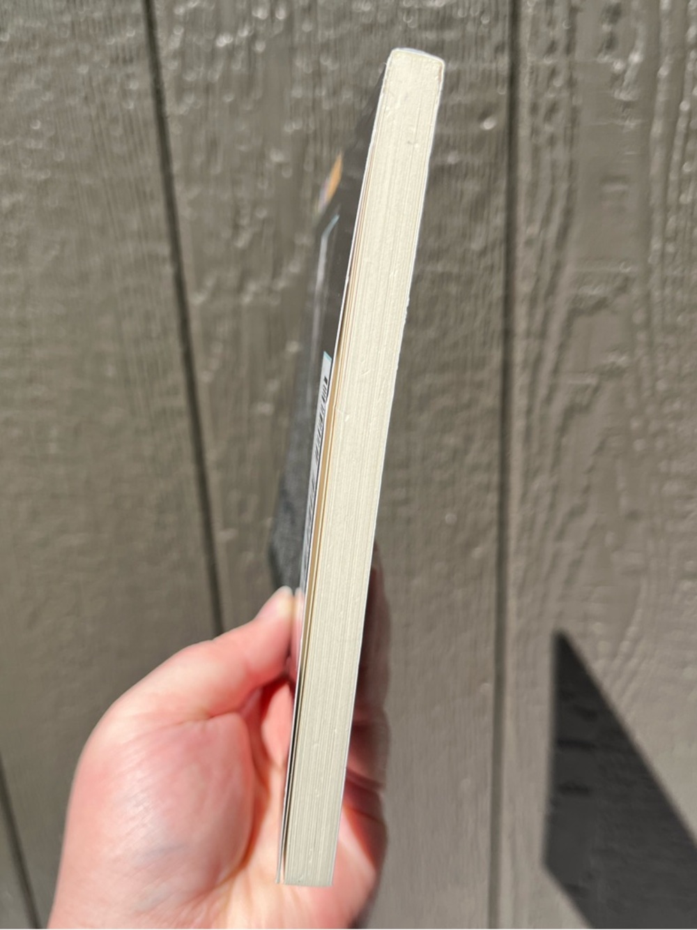 The Architecture of Language Poems by Quincy Troupe TPB 1st printing 1st edition - Picture 6 of 14